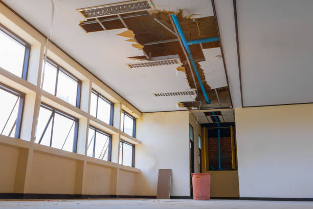  Little Chute, WI Water damage restoration Pros