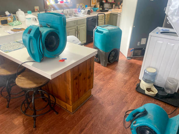 Best Professional water damage repair  in Little Chute, WI