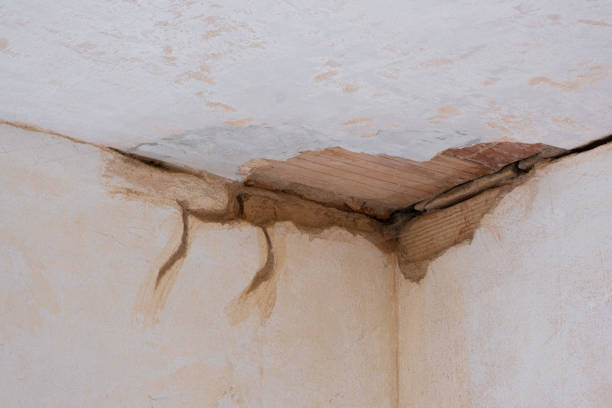 Best Ceiling water damage repair  in Little Chute, WI