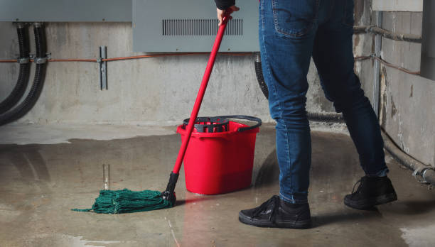 Best Flood restoration services  in Little Chute, WI