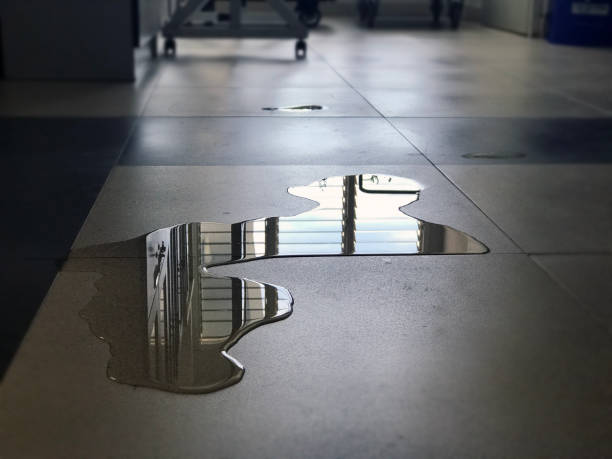 Best Water damage cleanup near me  in Little Chute, WI