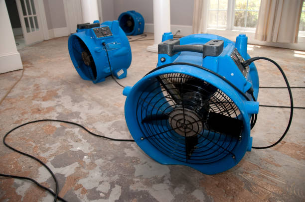 Best Emergency water damage restoration  in Little Chute, WI