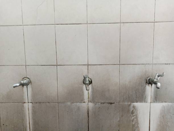 Best Flooded house restoration  in Little Chute, WI