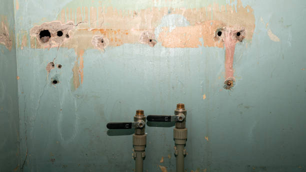 Best Carpet water damage restoration  in Little Chute, WI