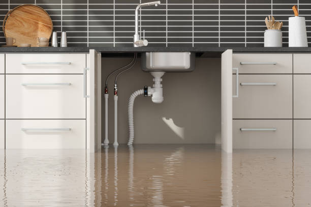 Best Flooded house restoration  in Little Chute, WI