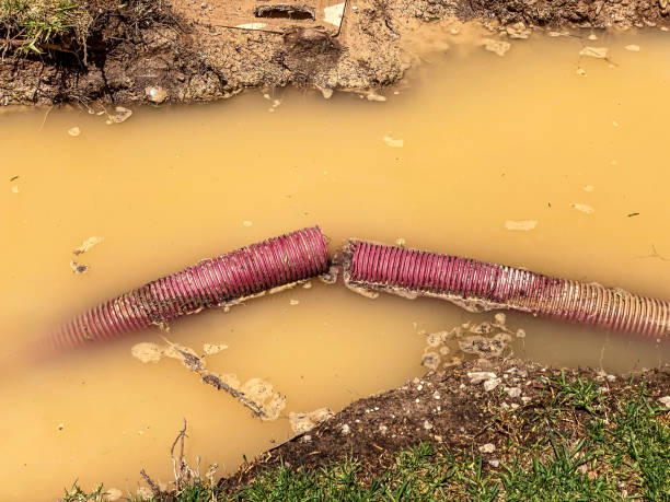Best Flood damage cleanup  in Little Chute, WI
