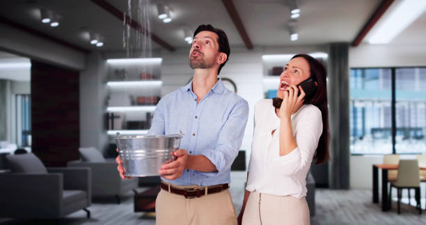 Best Residential water damage restoration  in Little Chute, WI